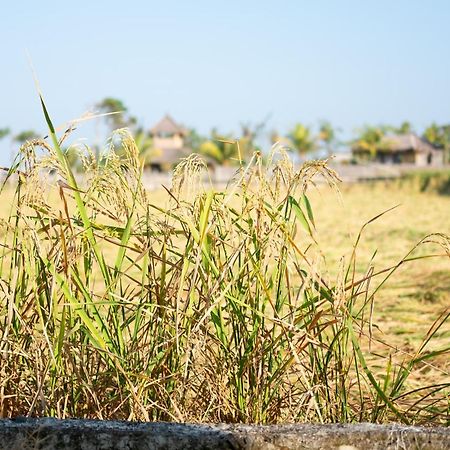 Bali Tiger Hideaway Hotel Pulukan Bagian luar foto