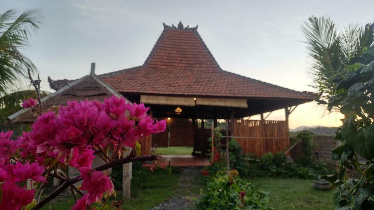 Bali Tiger Hideaway Hotel Pulukan Bagian luar foto
